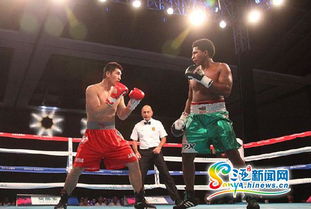 2015世界拳擊聯(lián)賽三亞落幕 中國龍不敵墨西哥勇士，拳擊賽事組織迎發(fā)展契機
