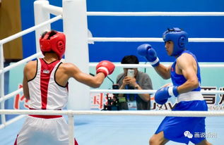 忻州圓滿承辦青運會拳擊賽事 展現(xiàn)拳擊運動組織新風(fēng)貌