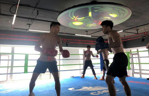 拳風(fēng)再起，蓄力新征程——廣西拳擊隊(duì)進(jìn)駐迪創(chuàng)曼巴中心開啟高強(qiáng)度集訓(xùn)